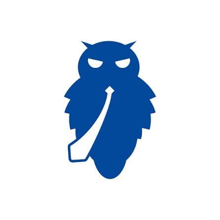 Blue Owl Workshop